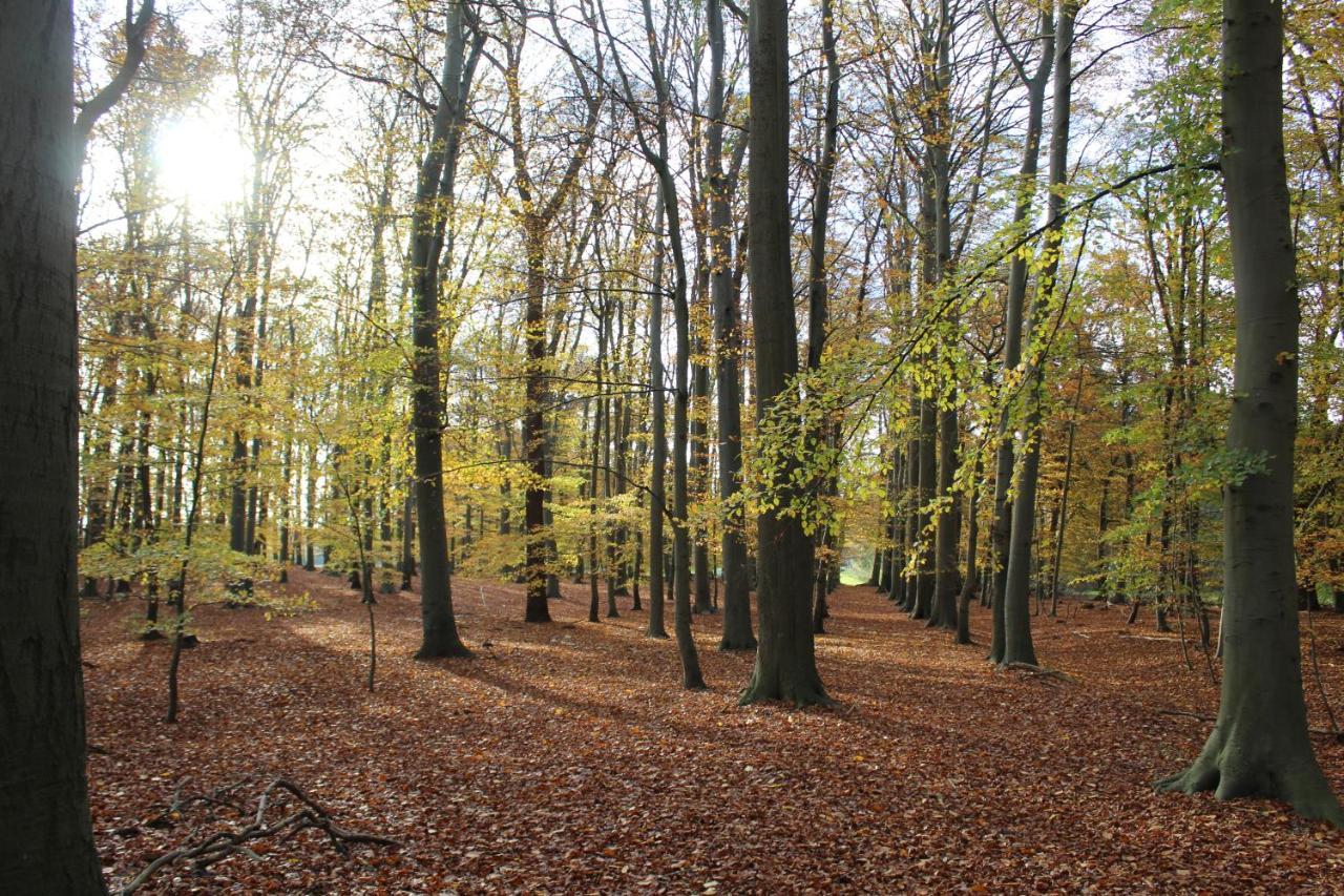 Ferienhaus Auf Gut Sautmannshausen Haselünne Kültér fotó