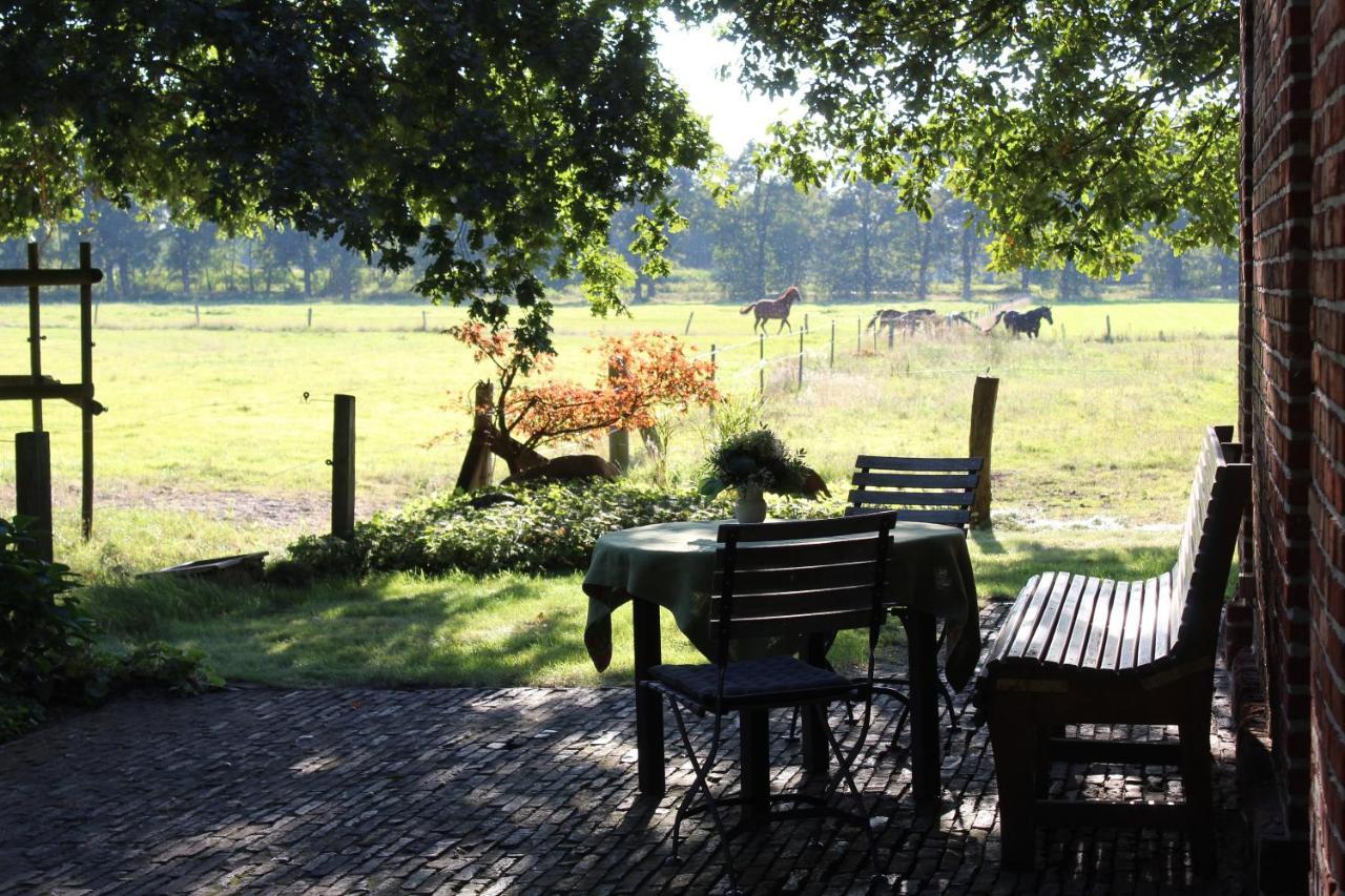 Ferienhaus Auf Gut Sautmannshausen Haselünne Kültér fotó