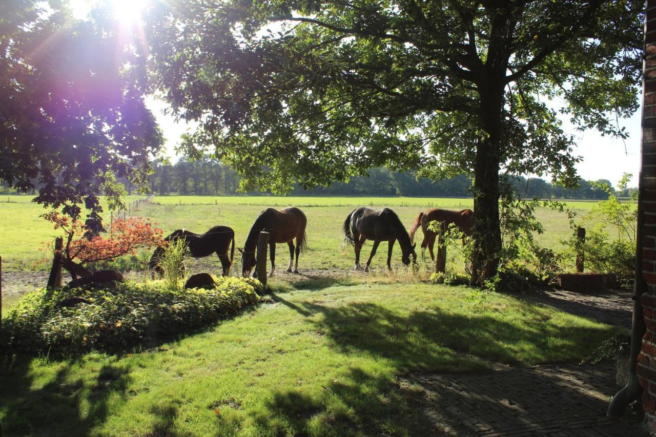 Ferienhaus Auf Gut Sautmannshausen Haselünne Kültér fotó